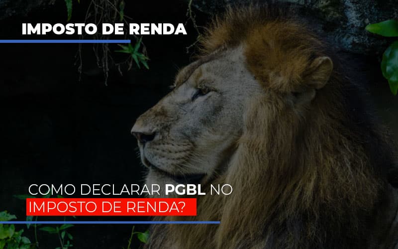 Ir2020:como Declarar Pgbl No Imposto De Renda Notícias E Artigos Contábeis - Contabilidade em Visconde do Rio Branco - MG | Centro Contábil Riobranquense - IR2020: Como declarar PGBL no Imposto de Renda?