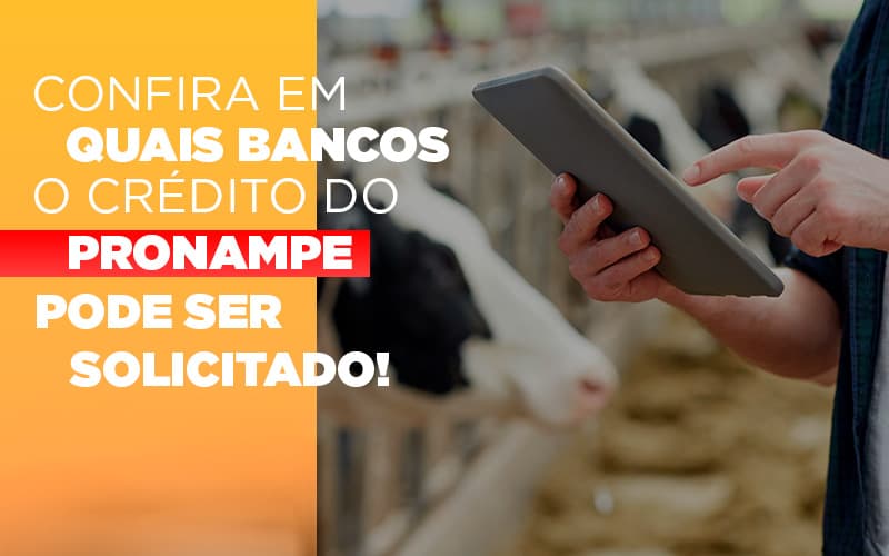 Confira Em Quais Bancos O Credito Pronampe Ja Pode Ser Solicitado Notícias E Artigos Contábeis - Contabilidade em Visconde do Rio Branco - MG | Centro Contábil Riobranquense - Confira em quais bancos o crédito do Pronampe já pode ser solicitado!